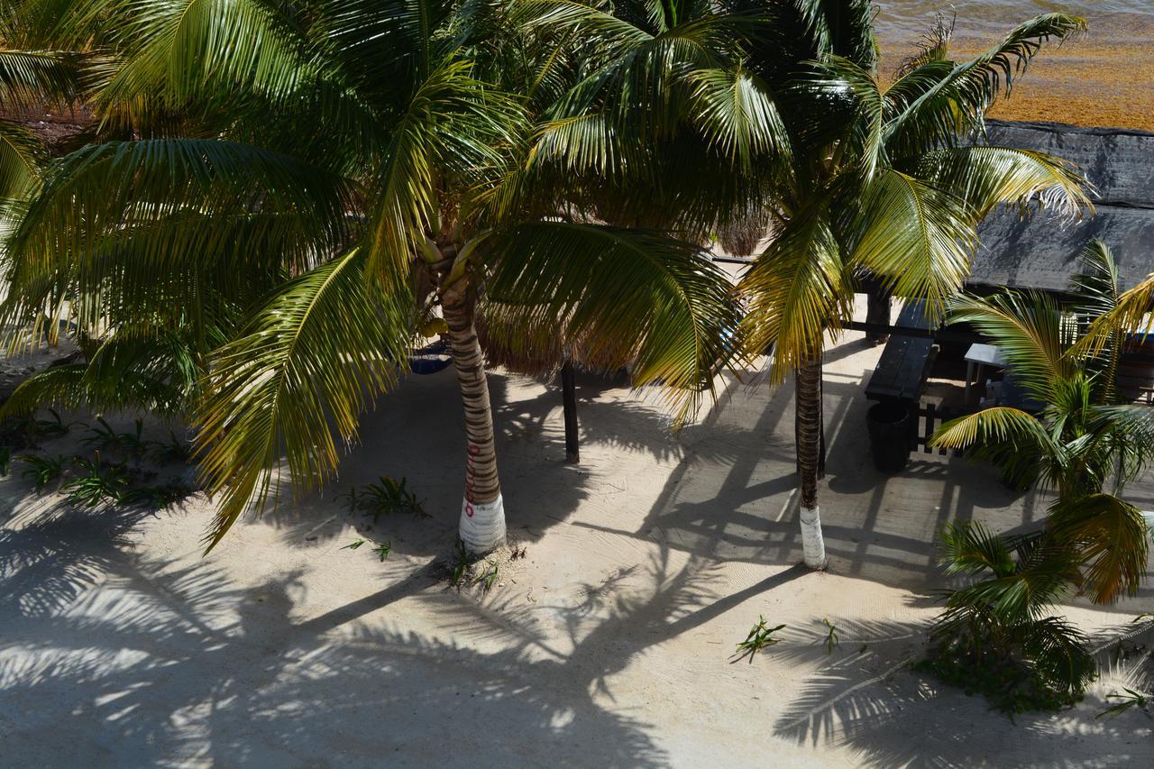 Hotel Arrecifes Costamaya มาอาอวล ภายนอก รูปภาพ